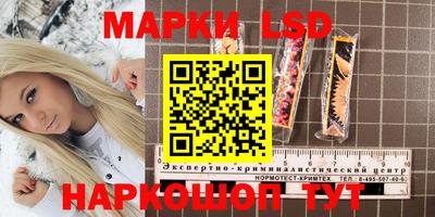 гидра Гусев