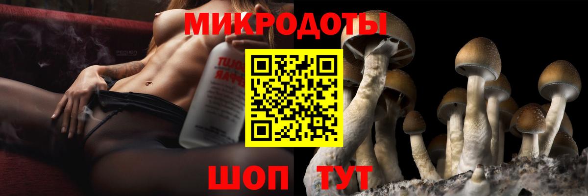 Псилоцибиновые грибы мицелий Благодарный